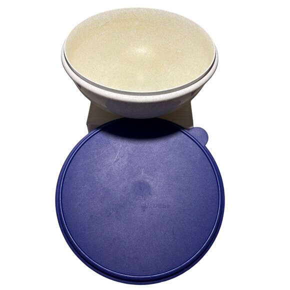 Vtg Tupperware Fix N Mix Bowl Beige Textured Mixing Bowl With Blue Lid 26 Cups - Picture 1 of 8
